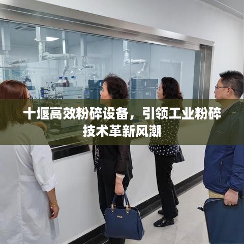 十堰高效粉碎设备，引领工业粉碎技术革新风潮