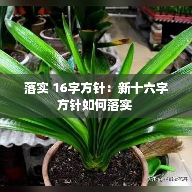 落实 16字方针：新十六字方针如何落实 