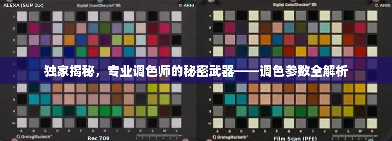独家揭秘，专业调色师的秘密武器——调色参数全解析
