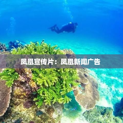 凤凰宣传片：凤凰新闻广告 