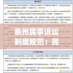 泰州民事诉讼制度规范：民事诉讼制度与原则 
