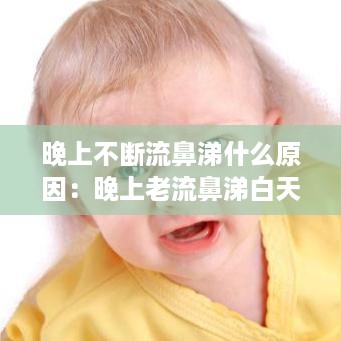 云屯鸟散 第2页