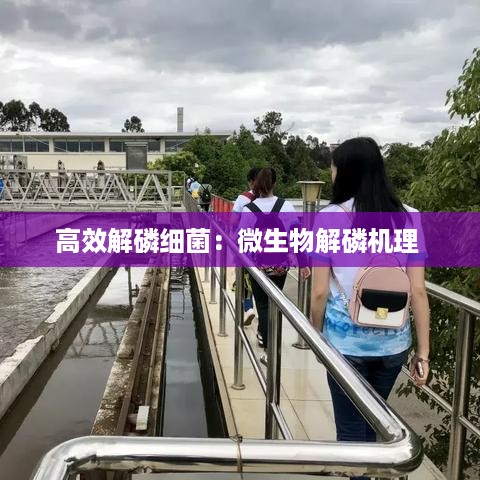 刚毅木讷 第2页
