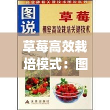 飞沙走石 第2页