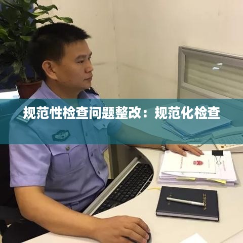 规范性检查问题整改：规范化检查 