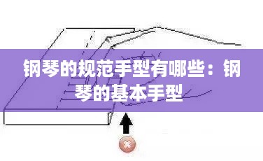 钢琴的规范手型有哪些：钢琴的基本手型 