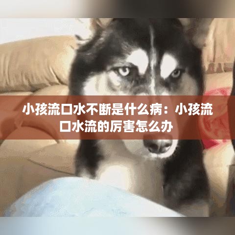 小孩流口水不断是什么病：小孩流口水流的厉害怎么办 