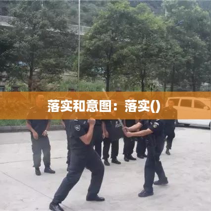 落实和意图：落实() 
