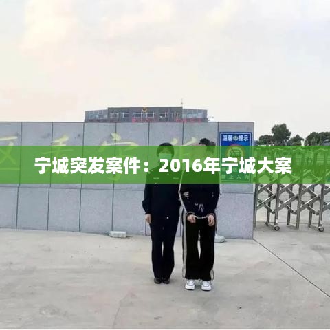 飞扬拨扈 第2页
