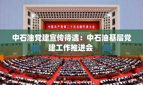 中石油党建宣传待遇：中石油基层党建工作推进会 