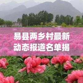 易县两乡村最新动态报道名单揭晓