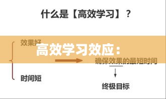 高效学习效应： 