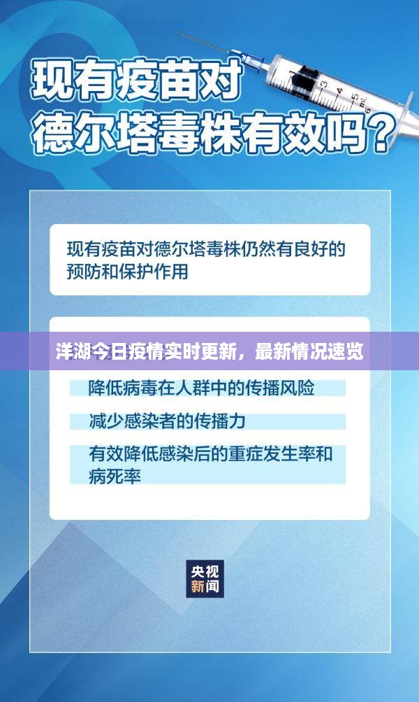 洋湖今日疫情实时更新，最新情况速览