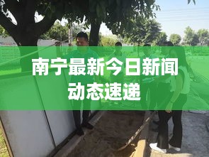 物稀为贵 第2页