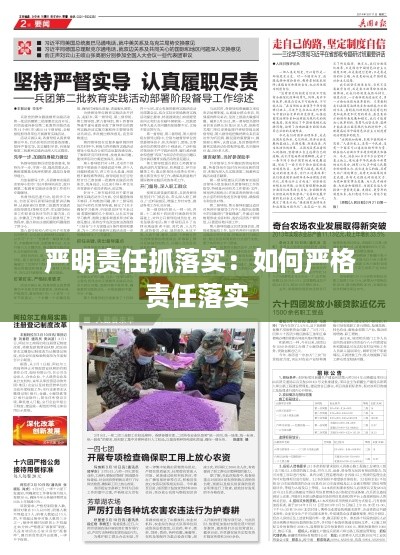 严明责任抓落实：如何严格责任落实 
