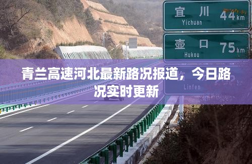 雍容典雅 第2页