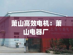 萧山高效电机：萧山电器厂 