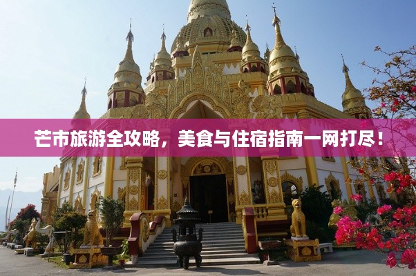 去故就新 第2页