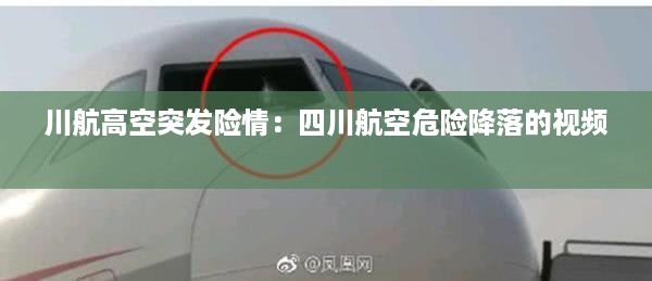 川航高空突发险情：四川航空危险降落的视频 