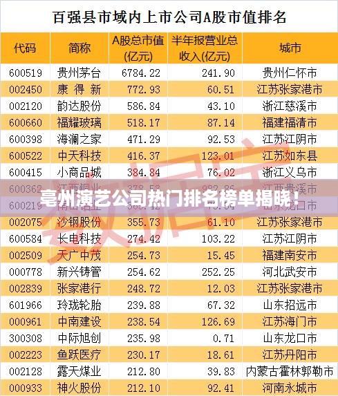 亳州演艺公司热门排名榜单揭晓！