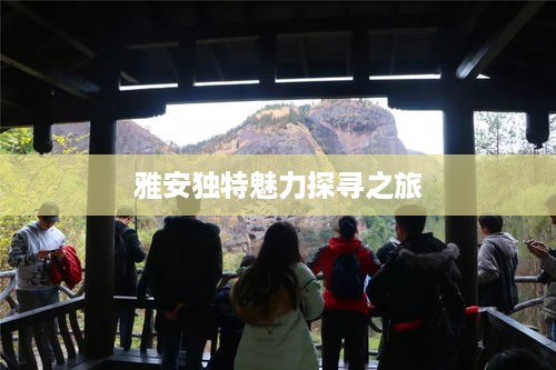 雅安独特魅力探寻之旅