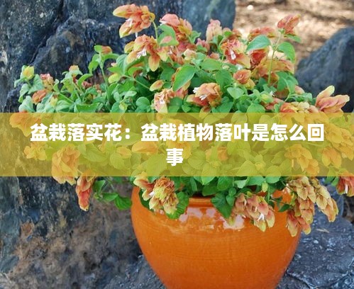 沉默的海 第2页