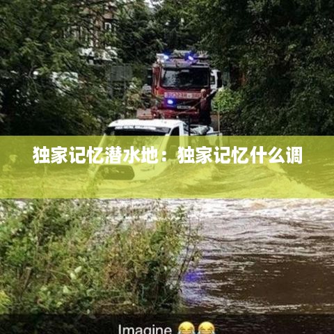 独家记忆潜水地：独家记忆什么调 