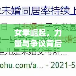 女拳崛起，力量与争议背后的深度探索