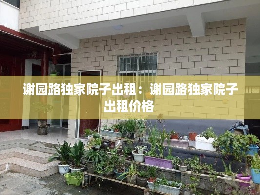 谢园路独家院子出租：谢园路独家院子出租价格 