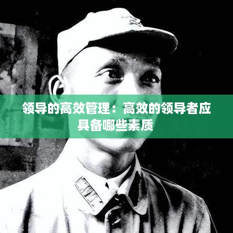 领导的高效管理：高效的领导者应具备哪些素质 