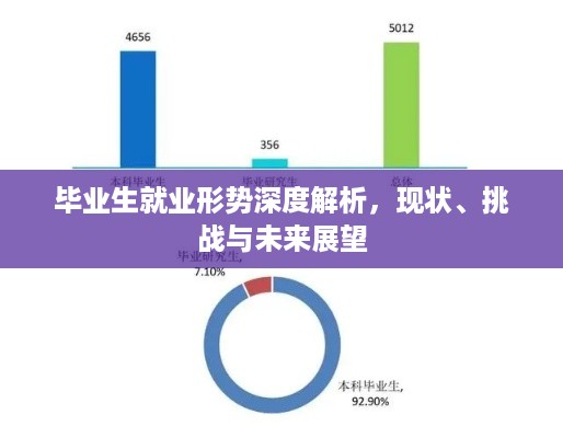 毕业生就业形势深度解析，现状、挑战与未来展望