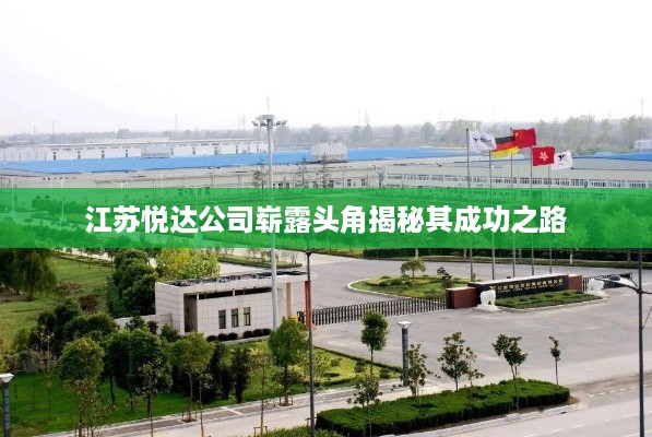 江苏悦达公司崭露头角揭秘其成功之路