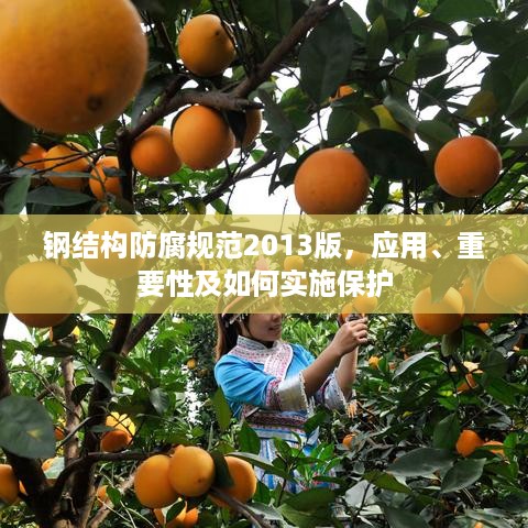 钢结构防腐规范2013版，应用、重要性及如何实施保护