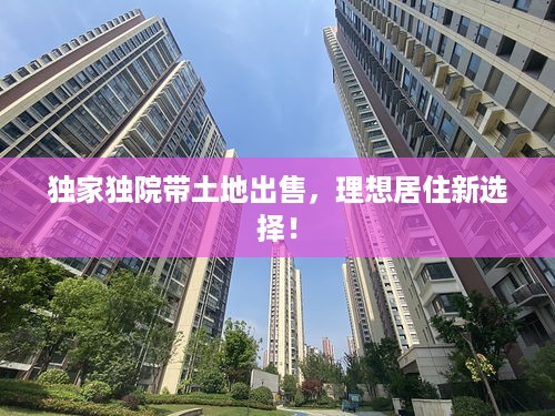 无影无踪 第2页