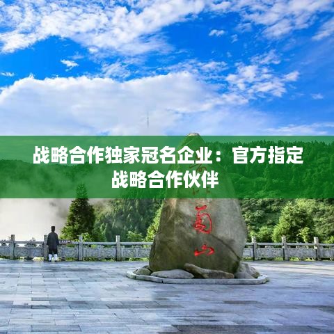 战略合作独家冠名企业：官方指定战略合作伙伴 