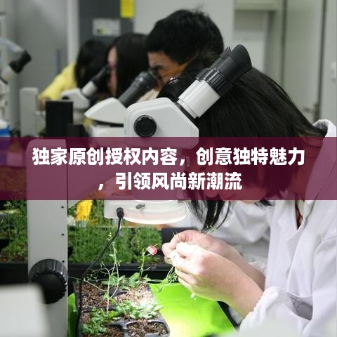 独家原创授权内容，创意独特魅力，引领风尚新潮流