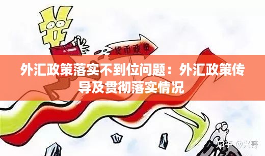 外汇政策落实不到位问题：外汇政策传导及贯彻落实情况 