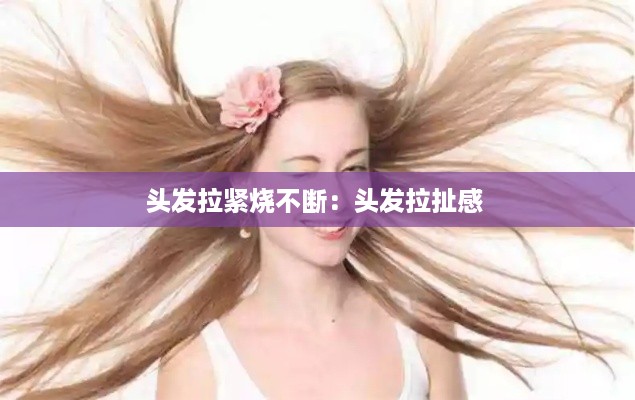 展翅高飞 第2页