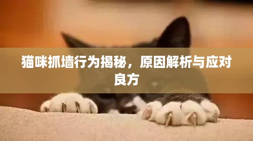 雍荣闲雅 第2页