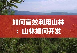 如何高效利用山林：山林如何开发 