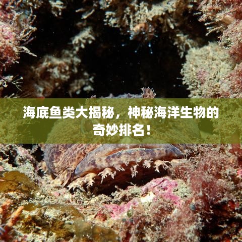 海底鱼类大揭秘，神秘海洋生物的奇妙排名！