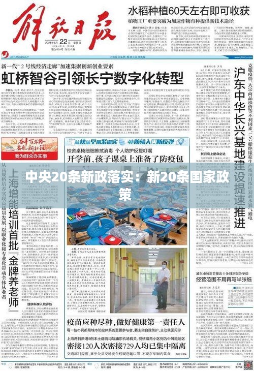 中央20条新政落实：新20条国家政策 