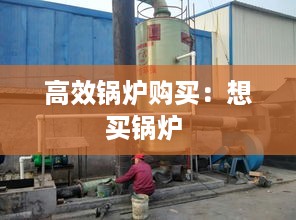 高效锅炉购买：想买锅炉 