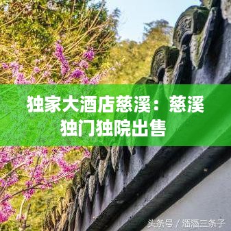 独家大酒店慈溪：慈溪独门独院出售 