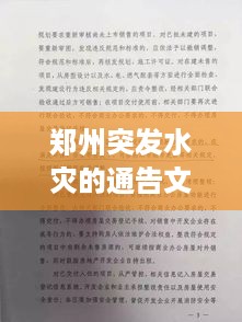 郑州突发水灾的通告文件：郑州水灾情 