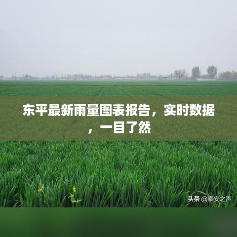 东平最新雨量图表报告，实时数据，一目了然