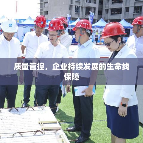 质量管控，企业持续发展的生命线保障