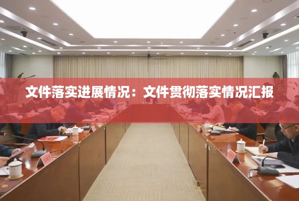 文件落实进展情况：文件贯彻落实情况汇报 