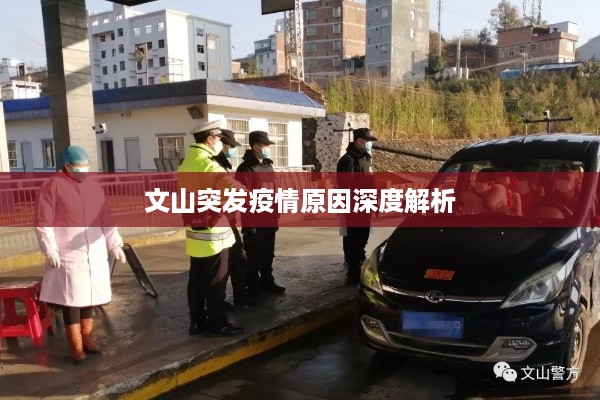 文山突发疫情原因深度解析