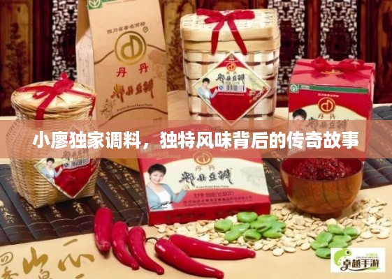 小廖独家调料，独特风味背后的传奇故事